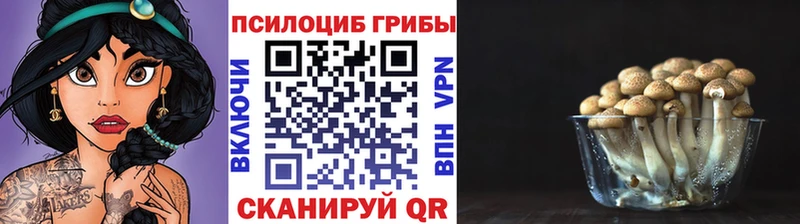 Псилоцибиновые грибы ЛСД  цена   Болгар 
