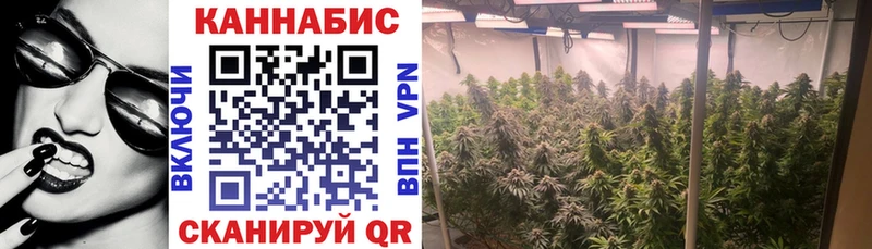OMG вход  Болгар  МАРИХУАНА семена 